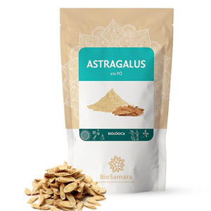 Astragalus em Pó 125g