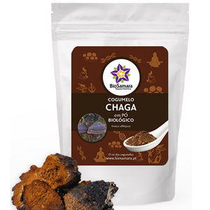 Cogumelo Chaga em Pó 100g