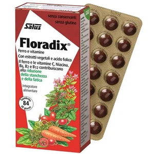 Floradix 84 comps.