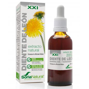 Extrato de Dente de Leão XXI 50ml