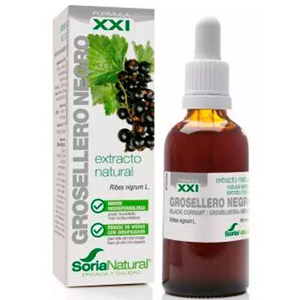 Extrato de Groselheira Negra XXI 50ml