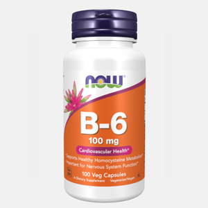 Vitamina B6 100mg 100 cáps.